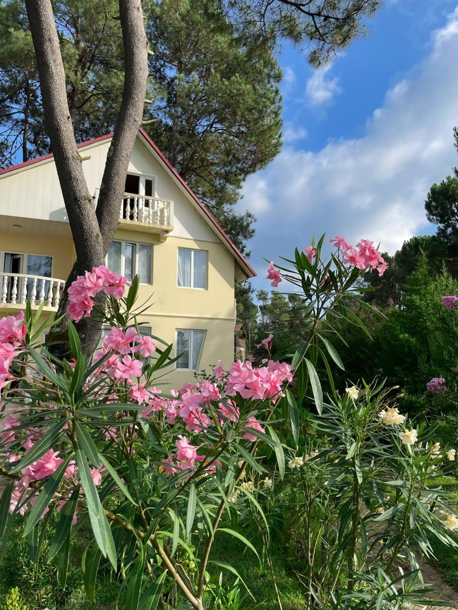 Kaprovani Villa 22 Шекветілі Екстер'єр фото